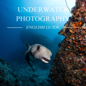 Underwater Photography Guide